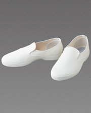 Antistatic Shoes (ELECLEAR No.20/white)